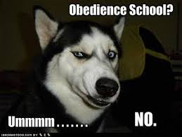 Antipsychotics, also known as neuroleptics, are a class of drugs used to treat psychiatric disorders, such as schizophrenia, bipolar disorder, and psychotic. Antibiotics Drugs Are Used To Treat Which Diseases Brainly Com
