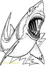 You could also print the picture by clicking the print button above the image. 15 Best Shark Coloring Pages Ideas Shark Coloring Pages Coloring Pages Shark
