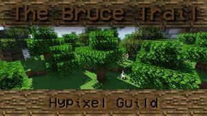 How to join a minecraft server and try bedwars, skywars, survival, murder mystery in the 3d sandbox game online. The Bruce Trail Bedwars Skywars Guild Level 9 Low Reqs Hypixel Minecraft Server And Maps