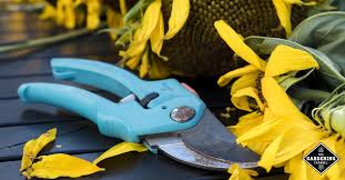 Baking soda works well for small areas of rust or rust stains. Caring For Your Garden Shears Gardening Channel