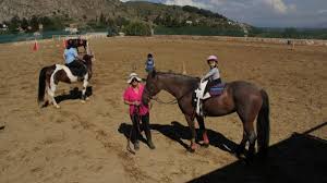 Maybe you would like to learn more about one of these? Bolos Paraxwrhsh Xwroy Sto Pedio Toy Arews Gia Tis Anagkes Toy Ippikoy Omiloy Boloy Ertnews Gr