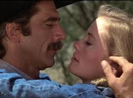 TV Shows Starring Steve Sandor