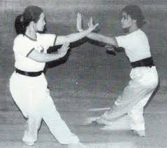 The History Of Fighting Mixed Martial Arts Training Martial Arts Martial