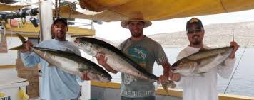 Tony Reyes Fishing Tours San Felipe Baja Mexico