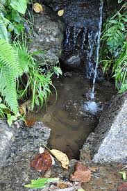 Todo el mundo conoce panamá por el asombroso canal de panamá, pero ese no es el único de sus elementos que inspira admiración. Ingrids Welt Panama Santa Fe Im Nationalpark Santa Fe