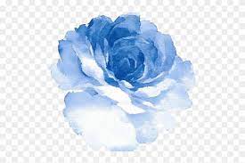 Blue flower blue flower sky blue , blue dream cherry background, pink and white petaled flowers art transparent background png clipart. Blue Rose Clipart Tumblr Cartoon Blue Watercolor Flower Png Transparent Png 640x480 4516880 Pngfind