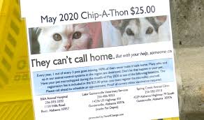 15 mins · the loud noises from 4th of july are coming in fast. Marshall County Veterinarians Offer Half Price Microchipping During Chip A Thon Whnt Com