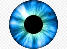 Eye Iris Texture Mapping Color Blue Png 600x600px Watercolor Cartoon Flower Frame Heart Download Free Almost files can be used for commercial. eye iris texture mapping color blue