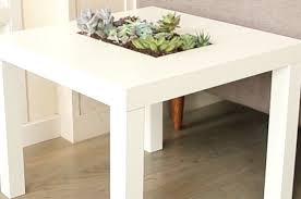 get fancy af and turn a table into a succulent garden ikea lack table ikea lack ikea table hack