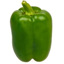 Image result for Capsicum