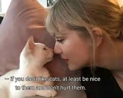 We don't deserve cats. Yet they choose us. 🥹🐾