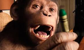 Rise of the Planet of the Apes – 'Human, all too human' | Biology | The  Guardian