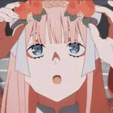 Sometimes even one death in an anime can cloud the whole series with sadness. Zero Two