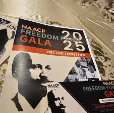 Image result for Denekia