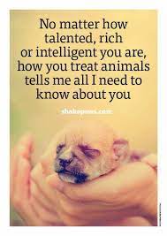 How You Treat Animals Animal Quotes Dog Quotes Dogs