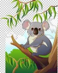 Koala Png Clipart Animals Australia Bear Cartoon Computer Icons Free Png Download