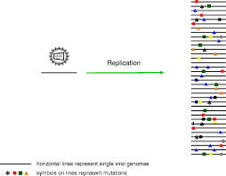 'ik geef les in de lokalen waar ik zelf les in heb gekregen. Quasispecies Dynamics Of Rna Viruses Springerlink
