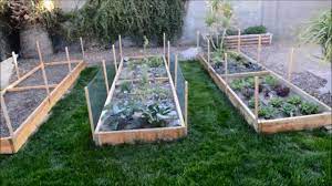 Maybe you would like to learn more about one of these? Raised Garden Beds Vegetable Garden In Phoenix Arizona Youtube