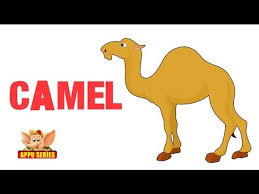 Where iron path means a path made of iron and gamini means walking. Animal Sounds Camel Video Dailymotion