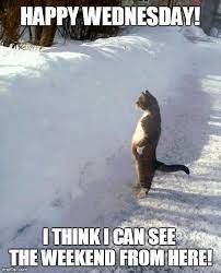 Category archive work | funny quotes. 36 Funny Happy Wednesday Memes