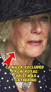Catherine Brink Of Tears As She Candid Shared Completion Of Treatment  #royal #royalfamily #princewilliam #catherine #kate #kingcharles #Camila  #Kate #britishroyalfamily