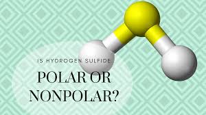A molecule is polar if the structure of that molecule is not symmetric. Is H2s Polar Or Nonpolar Science Trends