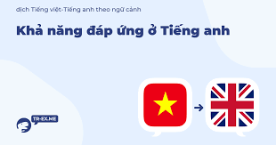 KHẢ NĂNG ĐÁP ỨNG Tiếng anh là gì - trong Tiếng anh Dịch