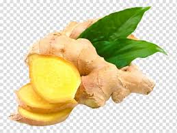 All images is transparent background and free download. Sliced Brown And Yellow Ginger Ginger Tea Ginger Ale Herb Fresh Ginger Fig Transparent Background Png Clipart Jahe