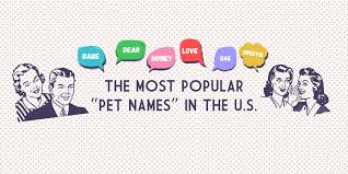May 19, 2021 · see more ideas about matching profile pictures, anime couples, anime. The Most Popular Pet Names For Couples The Black Tux Blog