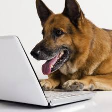 Maybe you would like to learn more about one of these? What Animal Organizations Need To Know About The Latest Facebook Changes Chew On This