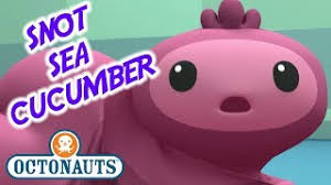 ： does not apply ， 。 Octonauts The Snot Sea Cucumber Series 1 Full Episode Cartoons For Kids Youtube