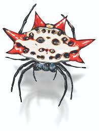 With the lowest prices online, cheap shipping. What Do Spinybacked Orb Weaver Spiders Look Like Orkin