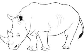Maybe you would like to learn more about one of these? 98 Gambar Binatang Kartun Badak Cikimm Com