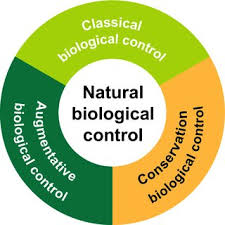 1 urvalet är gjort av anna bromée och programledare är christer björkman Christer Bjorkman Professor Swedish University Of Agricultural Sciences Uppsala Slu Department Of Ecology