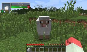 If you've got a lot of mods to manage, minecraft forge is what you need to download. The Ultimate Mac User S Guide To Minecraft On Os X Mods Skins And More Engadget