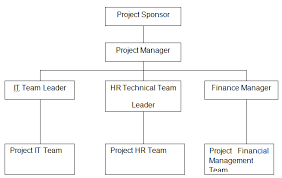 Role of a financial manager. Genrays It Project Management 1396 Words Coursework Example