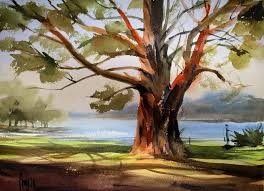 Big Tree Landscape Watercolor Oak Tree Drawings Painting Big Tree Drawing