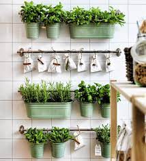 Akan dapat memberikan kualitas sirkulasi oksigen. 7 Cara Membuat Taman Vertikal Di Rumah