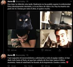 Elige 3 youtubers con los que haya echo una colaboración: Dmcbywhccm1em