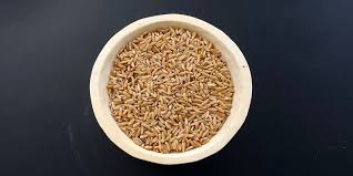 Unser bio khorasan weizen ist ein naturbelassenes urgetreide, keimfähig, reich an wertvollen ballaststoffen und eignet sich zum backen und zum keimen von weizengras. Khorasan Weizen Raum Acht