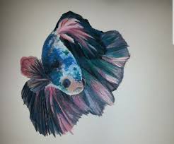 Pin On My Artwork By Samantha O Donnell