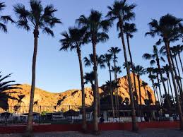 Echo Lodge Resort Bar or Lounge: Pictures & Reviews