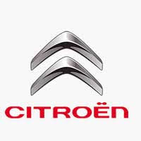 Image result for Gris Fulminator 2011 Citroen
