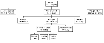 departmentation