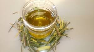 How To Make Lemongrass Oil At Home Lemon Grass Benefits Uses Lemongrass Oil Benefits Youtub Lemongrass Oil Benefits Lemon Grass Benefits Lemongrass Oil