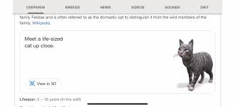 Google 3d Animals How To Use The Cool Ar Feature At Home Do follow technostacks, an expert in it solution providing ar technology for.