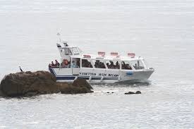 Suivez les déplacements, en temps réel, des nuages et de la pluie en bretagne. Les Vedettes Aven Belon Moelan Sur Mer