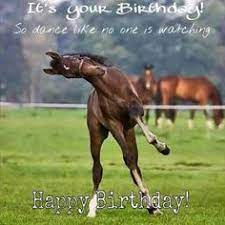 Horse birthday quotes quotesgram from horse free printable birthday horse creative center create customize and print custom cards invitations leverage brother creative center s cards. 24 Best Happy Birthday Horse Picture Ideas Happy Birthday Horse Horse Pictures Happy Birthday