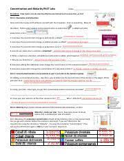 Phet sound simulation answer key 3.5 investigating sound waves lab objective: Molarity Phet Lab Answer Concentration And Molarity Phet Labs Name Procedure Course Hero
