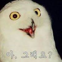 검색을 위한 지난공고, 사업유형, 고용형태, 급여수준, 근무시간, 경력, 학력, 외국어능력, 기타의 정보 입력. ìž¥ì„±ì² ì˜ ê²½ë ¥ í•™ë ¥ ì •ë³´